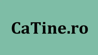 Catine.ro Online